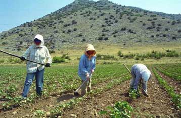 Φορολογικές ελαφρύνσεις και ενισχύσεις ύψους 452 δισ. δραχμών από την κυβέρνηση