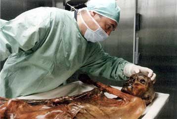 Παμφάγος και όχι χορτοφάγος ήταν ο Ότζι, ο νεολιθικός άνθρωπος που ανακαλύφθηκε στις Αλπεις