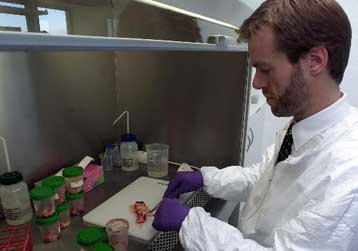 Τα αντικαταθλιπτικά φάρμακα προάγουν τη δημιουργία νέων νευρικών κυττάρων