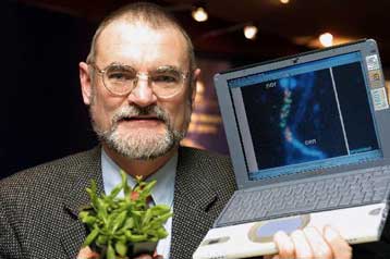 Πολυεθνική ομάδα ερευνητών προσδιορίζει για πρώτη φορά το γονιδίωμα ενός φυτού