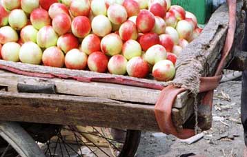 «Μήλον της έριδος» το… ροδάκινο στη Βουλή