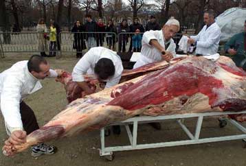 Κρέατα μολυσμένα με τη νόσο των «τρελών αγελάδων» διατέθηκαν στην κατανάλωση στη Γαλλία