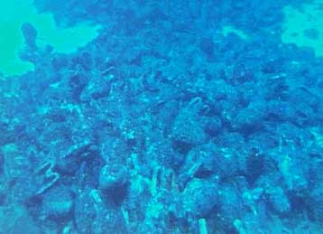 Τα αρχαία ναυάγια κεντρικό θέμα επιστημονικής ημερίδας