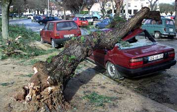 Στους 11 οι νεκροί από την κακοκαιρία στη δυτική Ευρώπη