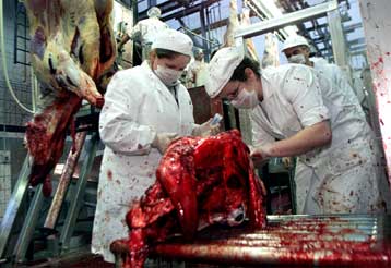 Όλα τα βοοειδή εξετάζει η Γερμανία – Εξαίρεση από τα μέτρα των «15» ζητά η Ολλανδία