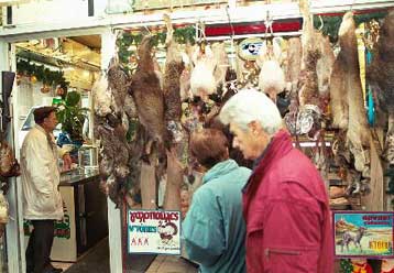 Νεκρό γράμμα τα εθνικά μέτρα για τις «τρελές αγελάδες» – Ελεύθερα θα πωλείται το Τ-bone steak