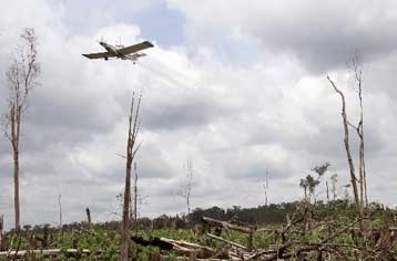 Μέτρα για τον περιορισμό της χρήσης επικίνδυνων φυτοφαρμάκων προωθεί ο ΟΗΕ