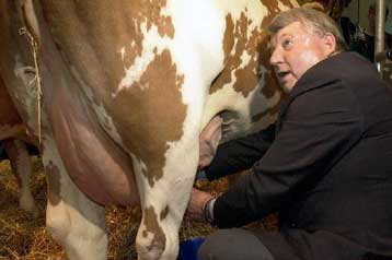 Ανεπαρκή κρίνει τα μέτρα των «15» για τις «τρελές αγελάδες» ο Γερμανός υπουργός Γεωργίας