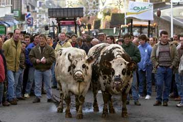 Απαγόρευση των κρεατάλευρων για έξι μήνες αποφάσισαν οι υπουργοί Γεωργίας της ΕΕ