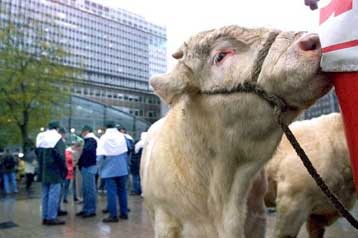 Απαγόρευση των κρεατάλευρων αποφάσισαν οι υπουργοί Γεωργίας της ΕΕ