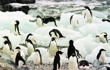 Η τρύπα του όζοντος θα αρχίσει σύντομα να «επουλώνεται»