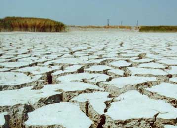 Έργα ύψους ενός τρισ. δραχμών για άρδευση – Σημείο αιχμής η σωστή διαχείριση υδάτινων πόρων