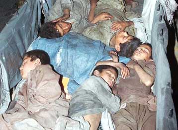 Μεγάλος τηλεμαραθώνιος της UNICEF στις 11 Δεκεμβρίου στη ΝΕΤ