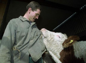 Παράγωγα αίματος από κλωνοποιημένα βοοειδή