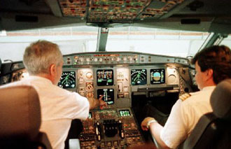 Ευάλωτοι σε καρκίνο και λευχαιμία οι ιπτάμενοι, σύμφωνα με έρευνα