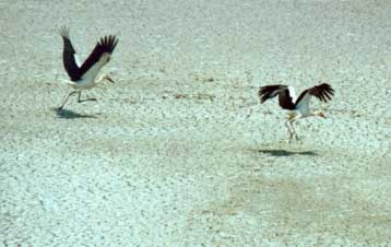 Συστήνεται Εθνικός Φορέας Διαχείρισης Υδάτινων Πόρων