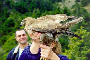 Ομπρέλα προστασίας από το ΣτΕ στο Πεντελικό όρος