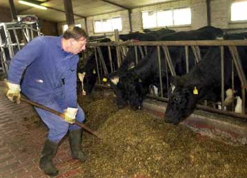 Τρόπους προφύλαξης από τη νόσο των «τρελών αγελάδων» αναζητούν κυβέρνηση και κτηνοτρόφοι στις ΗΠΑ