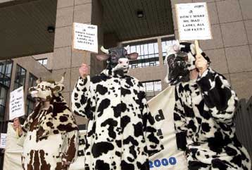 Στηρίζουν οι υπουργοί Γεωργίας της ΕΕ τις συστάσεις για τις μπριζόλες με κόκαλο