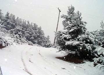 Δύο ορειβάτες τραυματίστηκαν από χιονοστιβάδα στον Όλυμπο