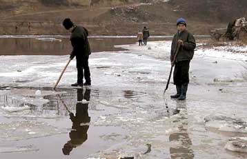 Νέα διαρροή κυανίου σε παραπόταμο του Δούναβη στη Ρουμανία