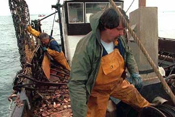 Έκτακτα μέτρα για να αποτραπεί η εξαφάνιση του μπακαλιάρου από τη Βόρεια Θάλασσα επέβαλε η Κομισιόν