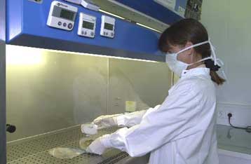 Χαρτογραφήθηκε το γονιδιώμα βακτηρίου που προκαλεί δηλητηριάσεις