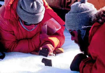 Ιαπωνική ομάδα ανακαλύπτει 3.554 μετεωρίτες στην Ανταρκτική