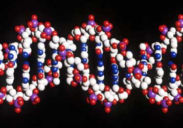 Στο DNA στηρίζουν τις ελπίδες τους οι Αρχές στην αναζήτηση των τρομοκρατών