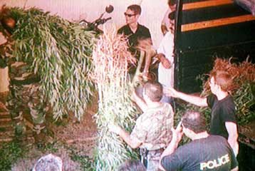 Βαριές ποινές σε αστυνομικούς και πολίτες για καλλιέργεια και εμπορία χασίς