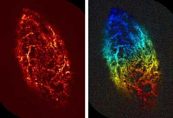 Νέες φωτογραφίες αποκαλύπτουν τα μυστήρια ενός κοντινού γαλαξία