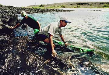 Εξαπλώνεται η πετρελαιοκηλίδα που απειλεί τα νησιά Γκαλαπάγκος με περιβαλλοντική καταστροφή