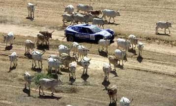 Γυναικείο φινάλε στο Παρίσι Ντακάρ