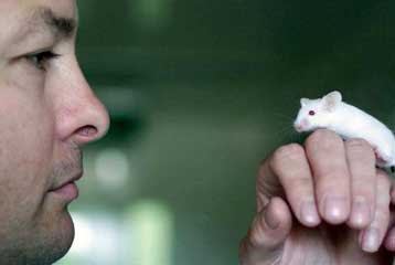 Σε γονιδιακή θεραπεία της νόσου του Αλτσχάιμερ ίσως οδηγήσει νέα έρευνα με πειραματόζωα