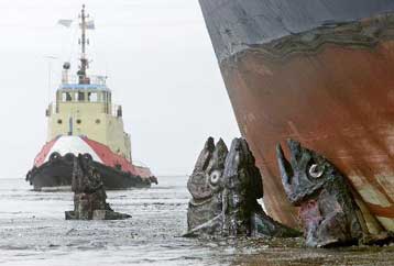 Υψηλές συγκεντρώσεις υδραργύρου καθιστούν τον ξιφία και το σκουμπρί επικίνδυνα για τις εγκύους