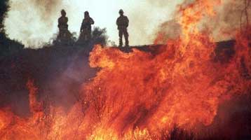Νέα μέτρα για την αντιμετώπιση των πυρκαγιών το 2001