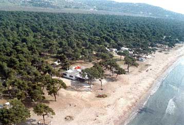 Επέμβαση της ΕΕ για τα Ολυμπιακά έργα στο Σχοινιά ζητά το WWF