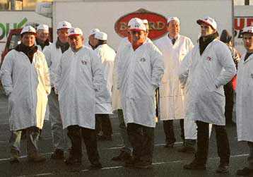 Οι αγελάδες «τρελαίνουν» την πολιτική ηγεσία της Γαλλίας και της Γερμανίας