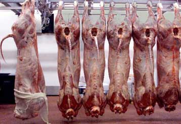 Ελλιπή τήρηση των κανόνων υγιεινής στα ελληνικά σφαγεία εντοπίζει η ΕΕ – Ορατή η επιβολή κυρώσεων