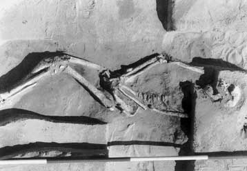 Αμφισβητείται η ηλικία του «αρχαιότερου ανθρώπινου DNA που έχει ποτέ αναλυθεί»