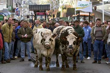 Αποκλεισμένο το Παρίσι από εξαγριωμένους Γάλλους κρεοπώλες και ζωέμπορους
