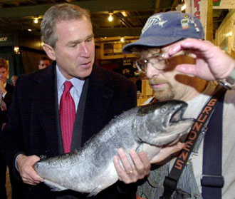 Επικίνδυνος για την υγεία ο σολομός ιχθυοτροφείου