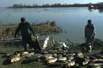Ο Δήμος Σταγείρων-Ακάνθου της Χαλκιδικής τίθεται κατά της λειτουργίας εργοστασίου χρυσού