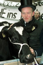 Επικίνδυνο το γάλα για τη νόσο των «τρελών αγελάδων»;