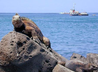 Δεύτερο ρήγμα στο Jessica δημιουργεί νέους φόβους για ρύπανση