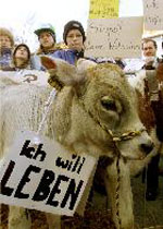 Έκκληση του FAO να ληφθούν μέτρα αντιμετώπισης των «τρελών αγελάδων»