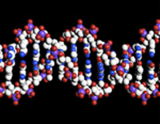 Βρέθηκε γονίδιο που πιθανώς ευθύνεται για τον καρκίνο του μαστού και των ωοθηκών