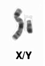 Κέντρο υποβοηθούμενης αναπαραγωγής στην Αλεξανδρούπολη