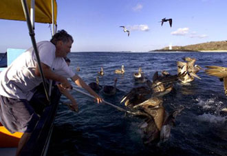 Κινδυνεύουν οι γιγαντιαίες χελώνες στα Γκαλαπάγκος