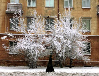 Το στρες και τα κρυολογήματα